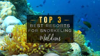 SNORKELING IN THE MALDIVES 2022 🐠🦈 The 3 Best Resorts with INSANE House Reefs to Snorkel 4K UHD [upl. by Atinahs673]