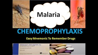 Malaria Chemoprophylaxis  Mnemonic To Remember Drugs for Malaria Prophylaxis [upl. by Eimmak928]