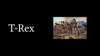 Wikipedia Read Aloud  TRex [upl. by Oirrad991]