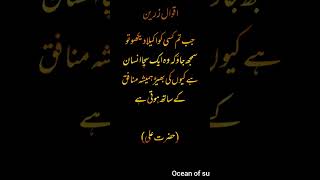 Islamic aqwal e zareen shorts youtube ocean of sufiism ❤ [upl. by Edobalo]