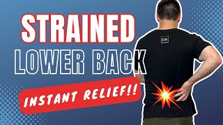 Lower Back Pain Stretches and Exercises  Pulled Lower Back Muscle  QUICK RELIEF [upl. by Dolph111]