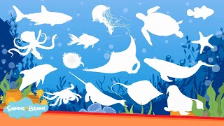 Learn Sea Animal Names  Sea Animal Puzzle for Kids  Ocean Animals [upl. by Inalaehon]