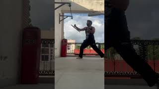 Tonfa Training at home tonfa mma martialarts mixedmartialarts meleeweapon melee [upl. by Aitam885]