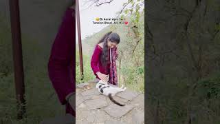 Fikar Song ❤️  Neha Kakkar  Rahat Fateh Ali Khan shorts punjabisong husbandlove cat catlover [upl. by Socin]