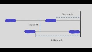 Understanding the Basics of Gait [upl. by Buell]