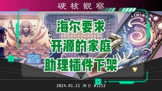 🅷 海尔要求开发者下架开源的家庭助理插件» 0121 周日 硬核观察 1253 [upl. by Debor]