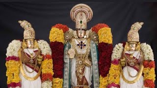 lord Venkateswara swamy Sri padmavathi Lakshmi Devi suprabhatam srinivasa godssongs godess 🙏🙏🌷 [upl. by Gerrie10]