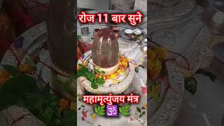 रोज अवश्य सुने महामृत्युंजय मंत्र mahadev harharmahadev shiv shiva mahakal reels like live [upl. by Glarum]