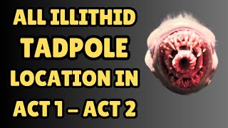 ALL ILLITHID TADPOLE LOCATION IN ACT 1 AND ACT 2 WITH TIMESTAMP [upl. by Hein]