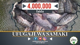 UFUGAJI WA SAMAKI NA MBEGU ZAKE [upl. by Jervis]