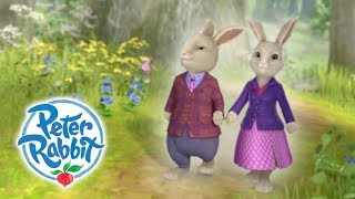 Peter Rabbit  Benjamin Bunny  Rabbits are Brave  Cartoons for Kids 🐰 [upl. by Cathrin547]