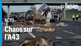 Un fiché S fait demitour après laccident dune bétaillère et sème le chaos sur lA43 [upl. by Lalitta]