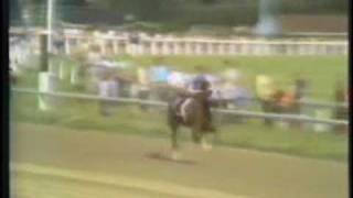 SECRETARIAT  1973 Arlington Invitational stretch call by Phil Georgeff [upl. by Meesak332]