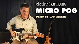 ElectroHarmonix Micro POG Polyphonic Octave Generator Pedal Demo by Dan Miller [upl. by Tubb]