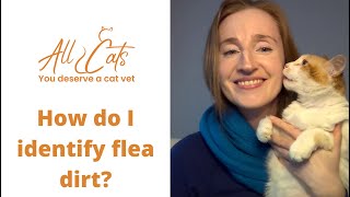 How do I identify flea dirt [upl. by Malcom]