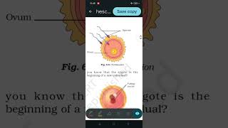 Internal Fertilisation And In Vitro FertilizationOAV Class8 Science Chap6Reproduction in Animals [upl. by Nnylyoj131]