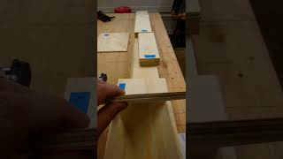 Plywood closet doors woodworking diy plywood [upl. by Airdnna655]