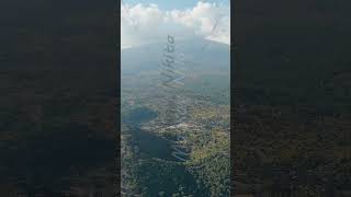 Vertical video Nicolosi Sicily Italy Volcanic craters overgrown with forest on the slopes of Mou [upl. by Celina]