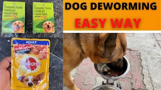 German Shepherd Dog Deworming  Easy Way to Deworm your Puppy at Home [upl. by Nipahc]