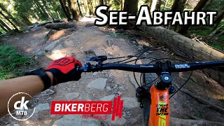 SeeAbfahrt Bikerberg Flumserberg  Steep and Rough MTB Trail  Giant Reign SX  ck MTB [upl. by Henn88]