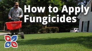 How to Make Homemade Fungicide to Control Powdery Mildew  e URBAN ORGANIC GARDEN [upl. by Amalle]