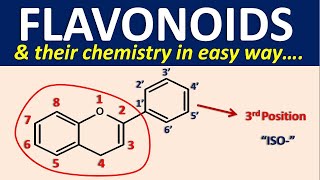 Flavonoids and their chemistry in easy way [upl. by Adidnac]