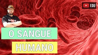 O Sangue Humano [upl. by Kcirddes]