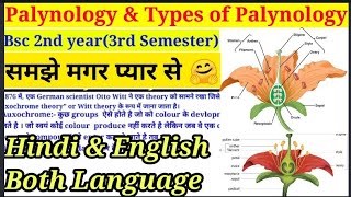 Palynology amp Types of Palynology  Part1 Morphology  परागकण  Bsc 2nd year3rd Semester bsc [upl. by Omrellug565]