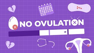 Ovulation Problems Understanding Anovulation [upl. by Pandich974]