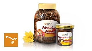 Detoxifiere naturală cu păstura de albine ApiLand [upl. by Garlan]