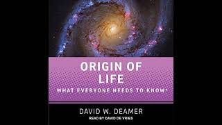 Origin of Life What Everyone Needs to Know [upl. by Einnig863]