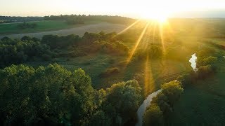 Eastridge Estate Fly fishing for wild brown trout River Kennet [upl. by Morette]