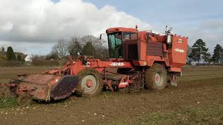 Matrot M141 Harvesting Sugar Beet Cambridge England [upl. by Oakman605]