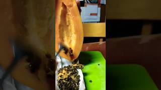 Deseeding A Papaya asmr satisfying papaya shorts deseedingImelda Ingram USA [upl. by Hsemin]