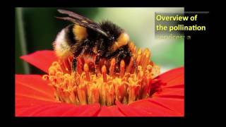 Overview of the pollination services a global perspective [upl. by Worth]