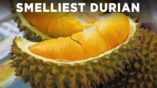 Tasting The Worlds Smelliest Fruit Durian [upl. by Neruat]