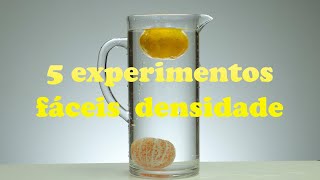 5 EXPERIMENTOS de FÍSICA densidade que você pode fazer em casa [upl. by Edan]