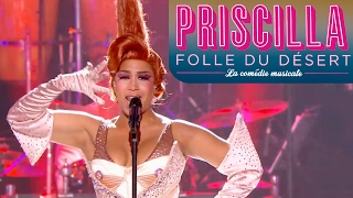 Priscilla Folle du Désert  Its Raining Men  Live dans les Années Bonheur [upl. by Suiratnod]