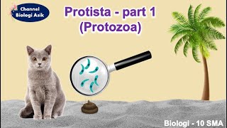 Protista part 1 Protozoa  Biologi kelas 10 SMA [upl. by Eversole]