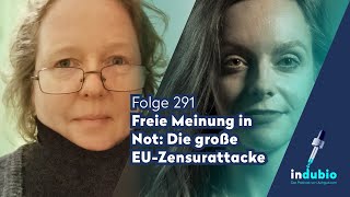 Flg 291  Freie Meinung in Not Die große EUZensurattacke [upl. by Aicerg]