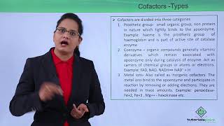 Class10th – Effect of Cofactors on Enzyme  Enzymes  Tutorials Point [upl. by Georgi]