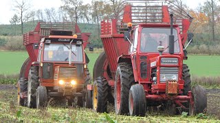 Vintage Sugar Beet Harvest 2023  Volvo BM  Deutz  Renault  Massey Ferguson  Fiat Tractors [upl. by Yard]