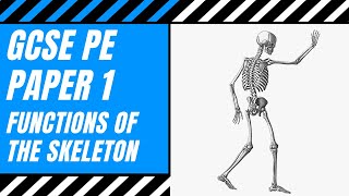 AQA GCSE PE The Functions Of The Skeleton  The Skeletal System  How To Pass GCSE PE  Paper 1 [upl. by Carrew934]