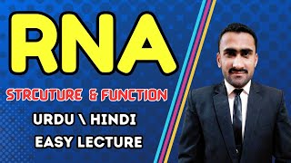 Introduction to RNA  RNA Structure Functions  A Type of Nucleic Acid  Shahzad Rasool Lecture [upl. by Necyla]