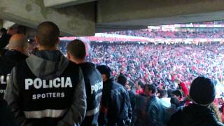 Benfica Topo Sul loucos da cabeça [upl. by Aicirtan752]