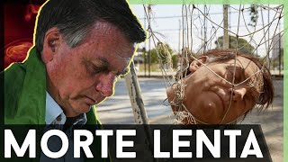 🚨BOLSONARO MORRE AOS POUCOS Pesquisas mostram isso [upl. by Miche89]