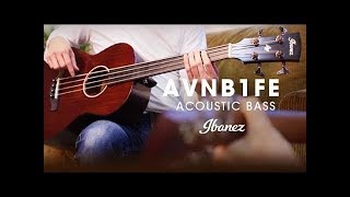 Ibanez AVNB1FE  Compact Acoustic Electric Bass Fretless [upl. by Aiveneg]