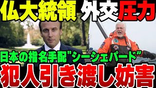 【ゆっくり解説】フランス大統領、日本の国際指名手犯を引き渡さないように圧力 [upl. by Nicolina]