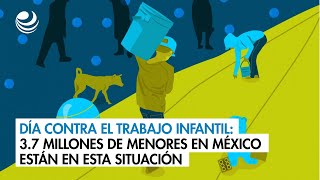 Día contra el Trabajo Infantil 37 millones de menores en México están en esta situación [upl. by Neyu]