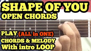 Shape Of You Guitar Chords Lesson with intro Tabs  Easy amp Open Chords  Ed Sheeran  FUXiNO [upl. by Blackmore]